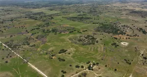 Goldthwaite, TX 76866