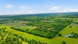 Azle, TX 76020