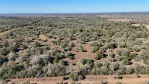 Gonzales, TX 78632
