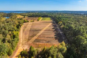 Chandler, TX 75758