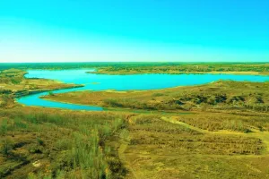 Howardwick, TX 79226