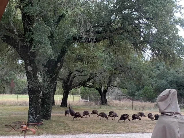 Bluff Dale, TX 76433
