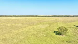 Pilot Point, TX 76258