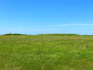 Bowie, TX 76230