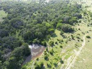 Hamilton, TX 76531