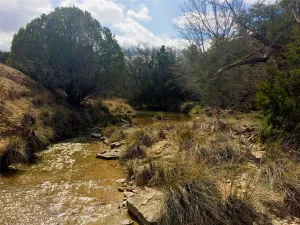 Lampasas, TX 76550