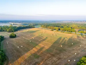 Honey Grove, TX 75446