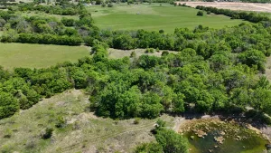 Peaster, TX 76088