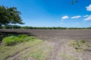 Jonesboro, TX 76538