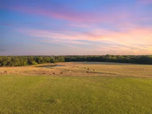 Stephenville, TX 76401