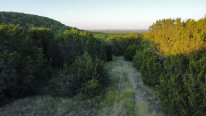 Abilene, TX 79602