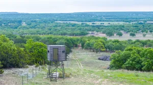 Ovalo, TX 79541