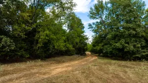 Pittsburg, TX 75686