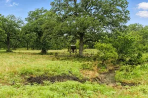 Jacksboro, TX 76458