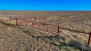 Petrolia, TX 76377