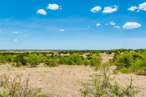 Cresson, TX 76035