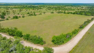 Carlton, TX 76436