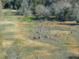 Rockdale, TX 76567