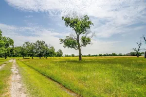 Weatherford, TX 76087