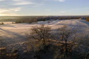 Whitewright, TX 75491