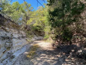 Cedar Hill, TX 75104