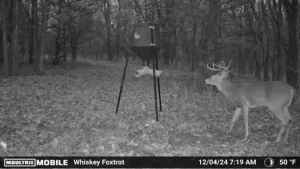Whitesboro, TX 76273