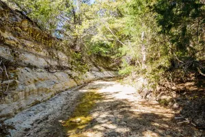 Cedar Hill, TX 75104