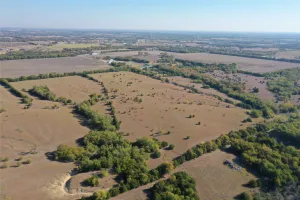 Princeton, TX 75407