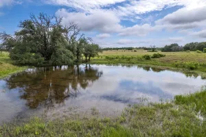 Hamilton, TX 76531