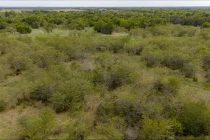 Wills Point, TX 75169