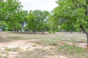 Ovalo, TX 79541