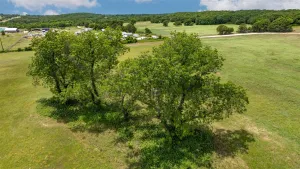 Gainesville, TX 76240