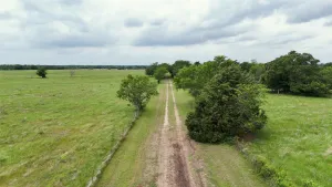 Mabank, TX 75147