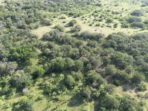 Hamilton, TX 76531