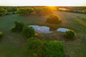 Dodd City, TX 75438