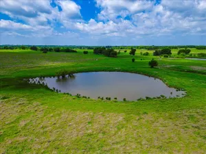 Covington, TX 76636