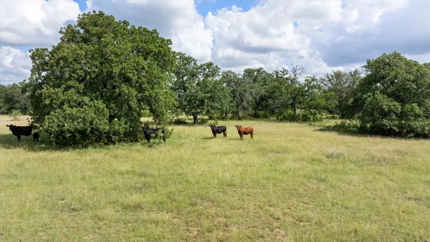 Hico, TX 76457