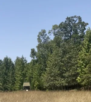 Buffalo, TX 75831