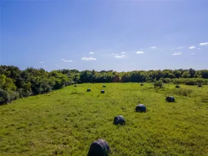 Stephenville, TX 76401