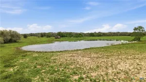 Hallettsville, TX 77964