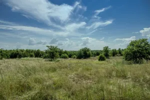 Henrietta, TX 76230