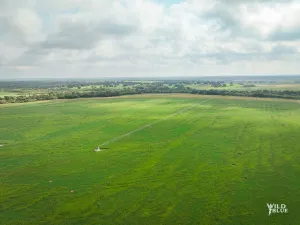 Richland Springs, TX 76871
