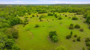 Aledo, TX 76008