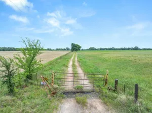 Edgewood, TX 75117