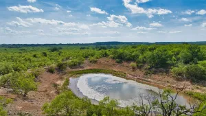 Talpa, TX 76882