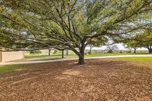 Pilot Point, TX 76258