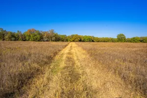 Aquilla, TX 76622
