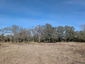 Lampasas, TX 76550