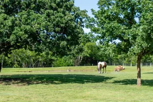 Southlake, TX 76092