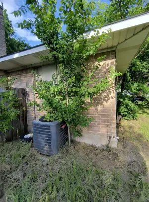 Greenville, TX 75401